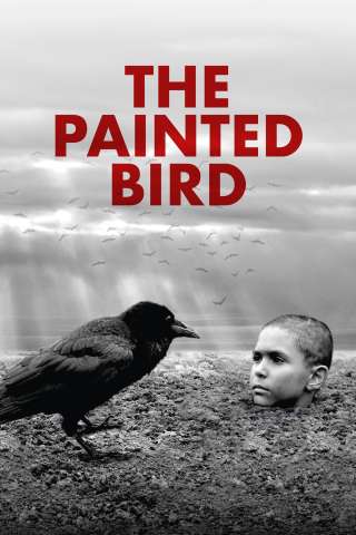 The Painted Bird - Nabarvené ptáče streaming